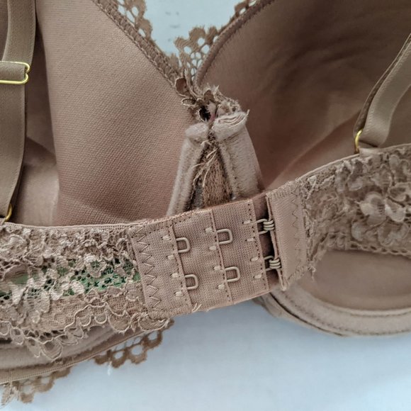 Honeydew Intimates Push-Up Bra - Picture 4 of 5